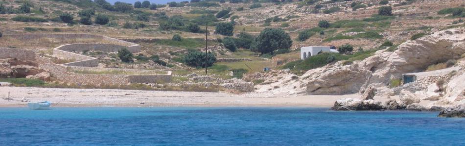 16169608.jpg