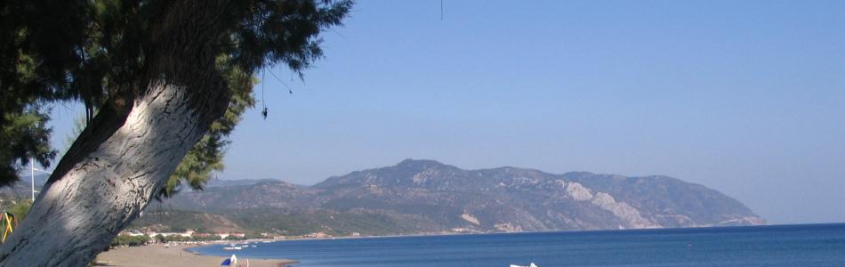 batera1.jpg
