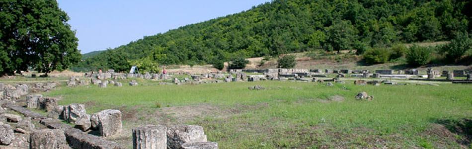 bergina_1.jpg