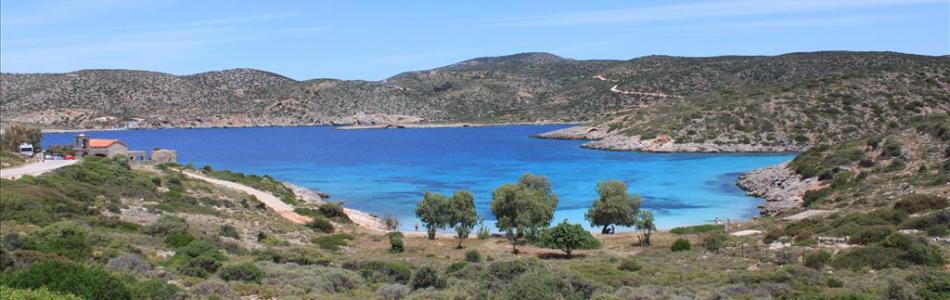 didyma.jpg