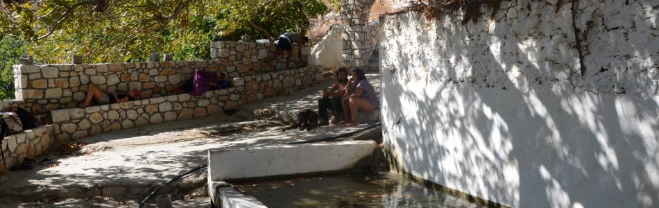 dsc_2364.jpg
